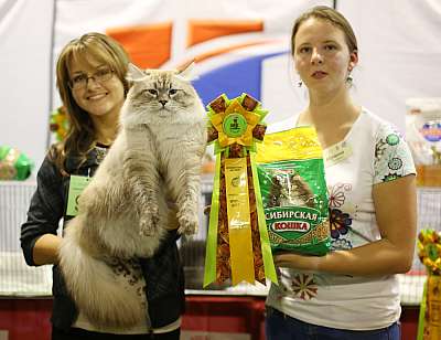 �������� ����� 20-21 �������� 2014 WCF-����� 2-95-169A2313 copy.jpg